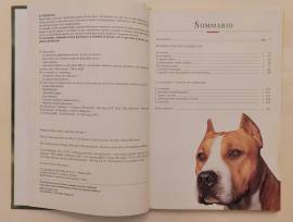 L'american Staffordshire Terrier di Fiorella Gariglio Meina Ed.De Vecchi, 2005 L'american Staffordshire Terrier di Fiorella Gariglio Meina Ed.De Vecchi, 2005