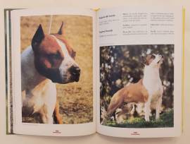 L'american Staffordshire Terrier di Fiorella Gariglio Meina Ed.De Vecchi, 2005 L'american Staffordshire Terrier di Fiorella Gariglio Meina Ed.De Vecchi, 2005