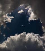 CARTOMANZIA