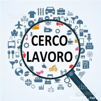 Assistente Familiare, Domestico, Autista