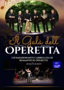 GRAN  GALA’ DELL’OPERETTA - CONCERTO MUSICA LIVE – MUSICA - PER EVENTI AZIENDALI - EVENTI PRIVATI 