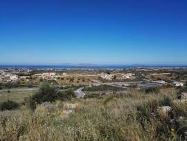 MARSALA TERRENO AGRICOLO 0.10  MQ 11000 CIRCA   PANORAMICO