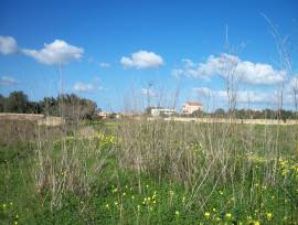 TERRENO 0'10 DI MQ 4700 CIRCA  (ANCHE CON PROGETTO)
