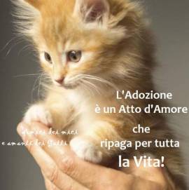 Tanti cuccioli regalano amore e gioia per tutta la vita