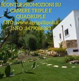 B&B Gallipoli Camere libere posti letto 