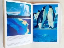 Oceano. Il gigante addormentato di Piero Angela e Lorenzo Pinna 1°Ed. Arnoldo Mondadori, 1991