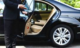 ACCOMPAGNATORE AUTISTA PER SIGNORA ANZIANA SOLA O VEDOVA