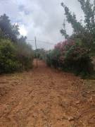 TERRENO RESIDENZIALE