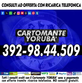 La risposta che cerchi è con telefonata di distanza. Non aspettare: la tua svolta può iniziare oggi
