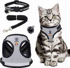 PETTORINA PER GATTO O PER CANE DI PICCOLA TAGLIA
