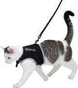PETTORINA PER GATTO O PER CANE DI PICCOLA TAGLIA