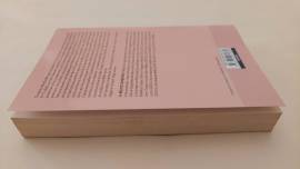 Il viaggio di Buddy di W.Bruce Cameron 1°Ed Giunti, giugno 2013 perfetto 