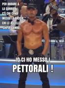 MAXFIAMMA SHOWMAN STRIPMAN