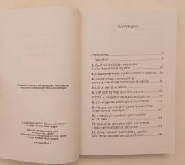 Intelligenza artificiale di Emanuele Bezzecchi Ed.Antonio Vallardi, 2024