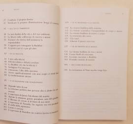 Il Budda nello specchio. Alla ricerca dell'energia vitale interiore di Hochswender, Martin, Morino