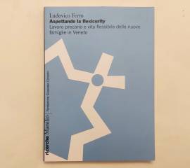 Aspettando la flexicurity.vita flessibile delle nuove famiglie in Veneto Ludovico Ferro 1°Ed.Marsili Aspettando la flexicurity.vita flessibile delle nuove famiglie in Veneto Ludovico Ferro 1°Ed.Marsili
