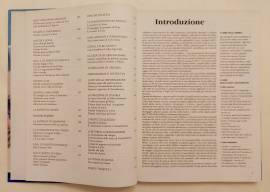 La Sacra Bibbia.Antico Testamento Illustrazioni di Severo Baraldi Fabbri Editori, 2004 La Sacra Bibbia.Antico Testamento Illustrazioni di Severo Baraldi Fabbri Editori, 2004