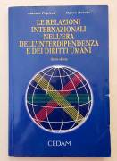 Le relazioni Internazionali nell'era dell'interdipendenza e dei diritti umani di Papisca e Mascia