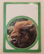 Parchi nazionali del mondo di Adriana Giannini Ed.Arnoldo Mondadori, giugno 1979