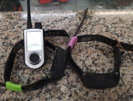 Disponemos de dispositivos GPS portátiles y collares Dogtra de todo tipo. Disponemos de dispositivos GPS portátiles y collares Dogtra de todo tipo.