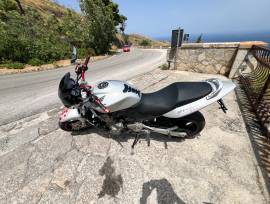 Honda Hornet 600 2004 • 25.000 km • Perfetta Molti Upgrade