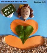 CORSO DI MEDITAZIONE MINDFULNESS M.B.S.R. CORSO DI MEDITAZIONE MINDFULNESS M.B.S.R.