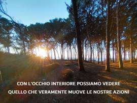 CORSO DI MEDITAZIONE MINDFULNESS M.B.S.R. CORSO DI MEDITAZIONE MINDFULNESS M.B.S.R.