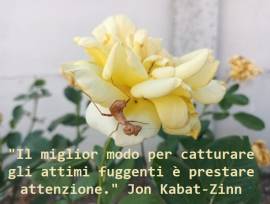 CORSO DI MEDITAZIONE MINDFULNESS M.B.S.R. CORSO DI MEDITAZIONE MINDFULNESS M.B.S.R.