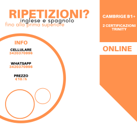 Ripetizioni inglese online