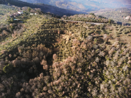 Vendesi immerso nella campagna toscana tra Firenze, Arezzo e Siena, il Podere Lonchio, in località c