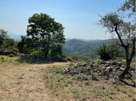 Vendesi immerso nella campagna toscana tra Firenze, Arezzo e Siena, il Podere Lonchio, in località c