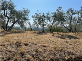 Vendesi immerso nella campagna toscana tra Firenze, Arezzo e Siena, il Podere Lonchio, in località c