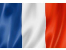 Madrelingua francese impartisce lezioni anche on-line 