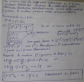 Ripetizioni di Matematica, Fisica per superiori e Università