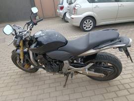 HONDA HORNET