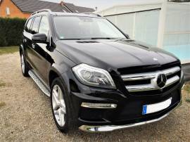 Mercedes GL 500 station wagon blu