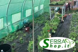 Serra 3x4m tunnel antigrandine serre orto box serrashop.it  grandine giardino