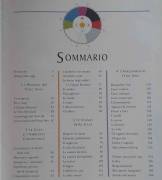 Guida pratica al FENG SHUI di Simon Brown Ed. ‎Vallardi Industrie Grafiche, febbraio 1998 come nuovo