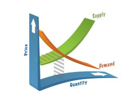 Ripetizioni di Microeconomia, Economia Politica