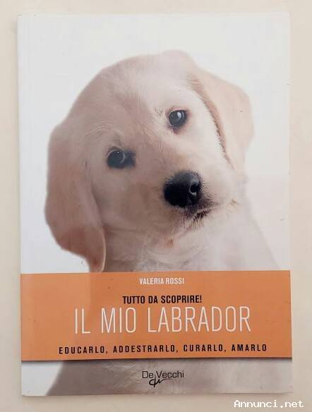 Il mio Labrador. Educarlo, Addestrato, Curarlo, Amarlo di Valeria Rossi Ed.De Vecchi, settembre 2008