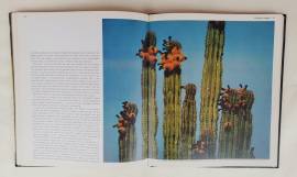 La Baja California nel Messico.Le grandi distese selvagge di William Weber Johnson Ed:Mondadori,1984