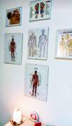 Studio Massaggi Professionali Wellness Messina