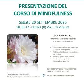 CORSO DI MEDITAZIONE MINDFULNESS M.B.S.R.
