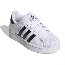 Creazione scarpe da ginnastica personalizzate 