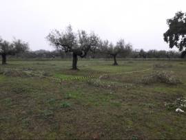 Cepagatti (PE) terreno edificabile in vendita.