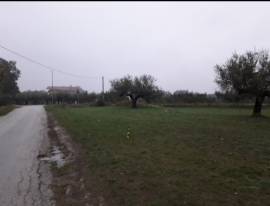 Cepagatti (PE) terreno edificabile in vendita.
