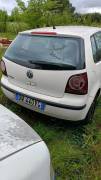WOLKSWAGEN POLO UNITED BIANCA