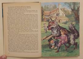 Il richiamo della foresta di Jack London Ed.De Agostini Ragazzi, settembre 1990