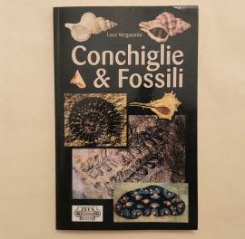 Conchiglie & Fossili di Luca Vergassola Editoriale Zeus, La Spezia 2001