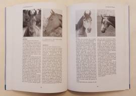 Il metodo del TTOUCH.Comprendere la personalità di cavallo Linda Tellington Jonee Ed.Equitare, 2006 Il metodo del TTOUCH.Comprendere la personalità di cavallo Linda Tellington Jonee Ed.Equitare, 2006